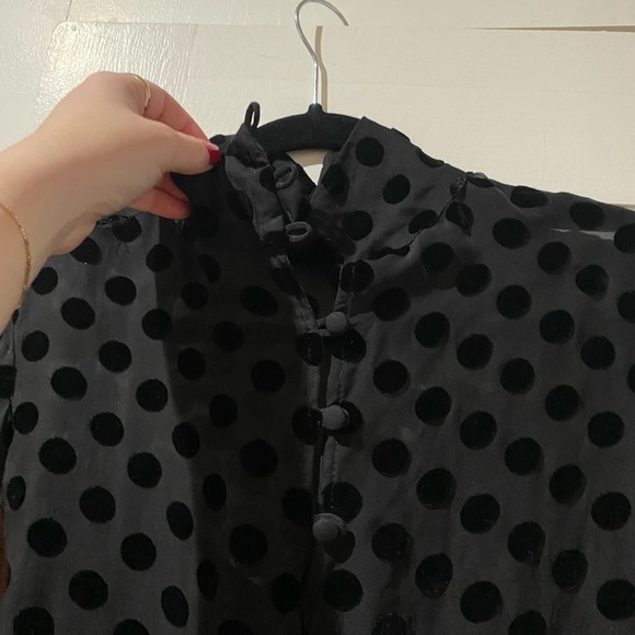 Stone Cold Fox Sheer Velvet Polka Dot Dress - Picture 16 of 16